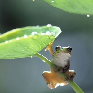 Meet your Posher, Deb